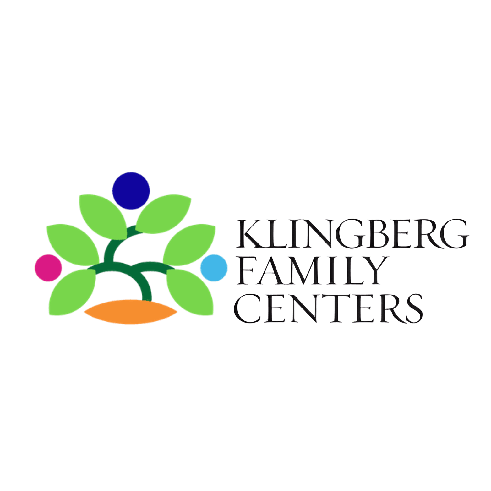 Kingberg Family Center